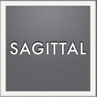 Sagittal